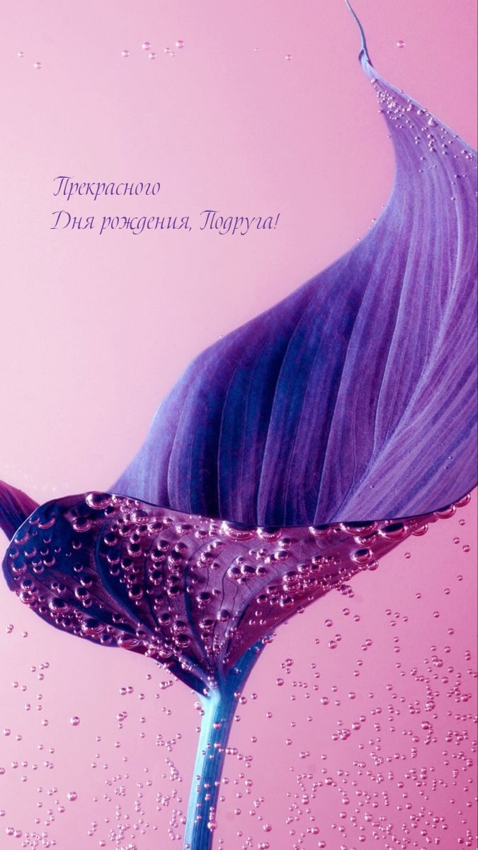 Прекрасного Дня рождения, Подруга! 