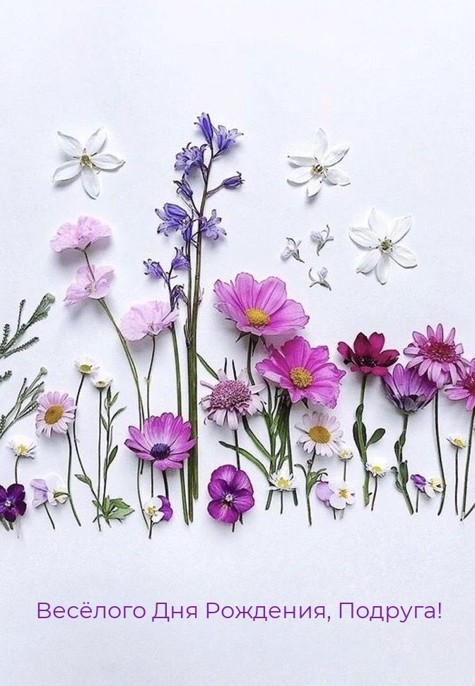 Весёлого Дня Рождения, Подруга!