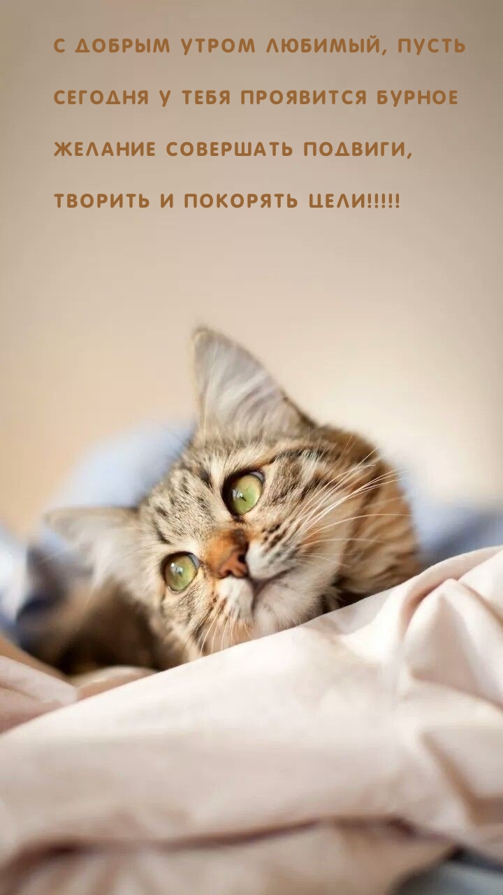 С добрым утром любимый