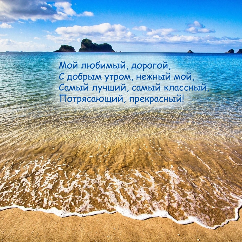 Мой любимый, дорогой, с добрым утром, нежный мой