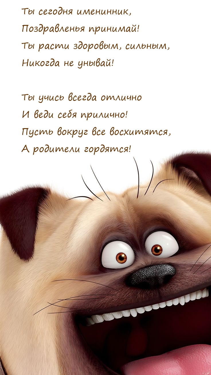 Ты сегодня именинник, поздравленья принимай!