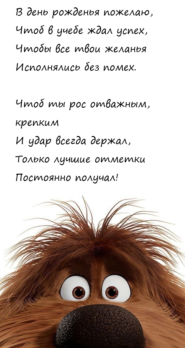 В день рожденья пожелаю, чтоб в учебе ждал успех