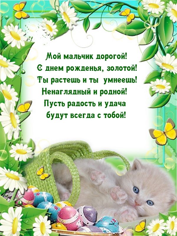 Мой мальчик дорогой! С днем рожденья, золотой!