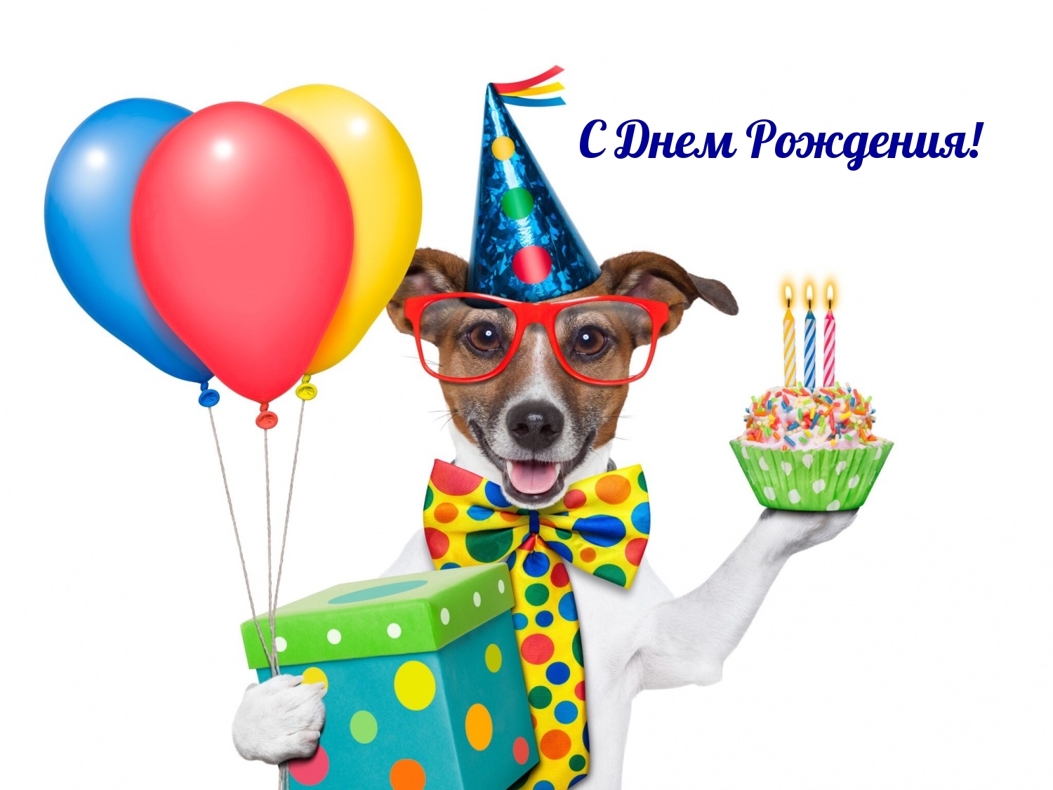 С Днем Рождения!