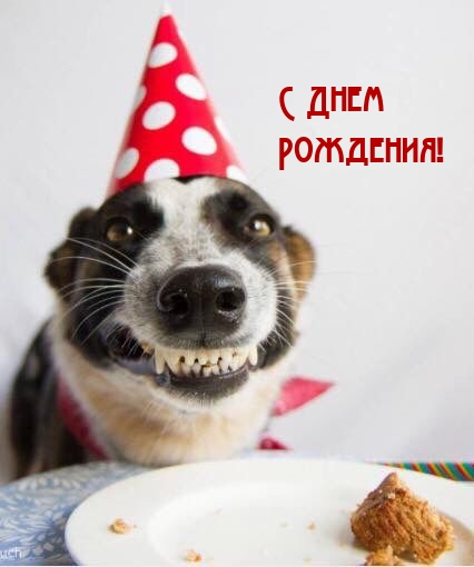 С Днем Рождения!