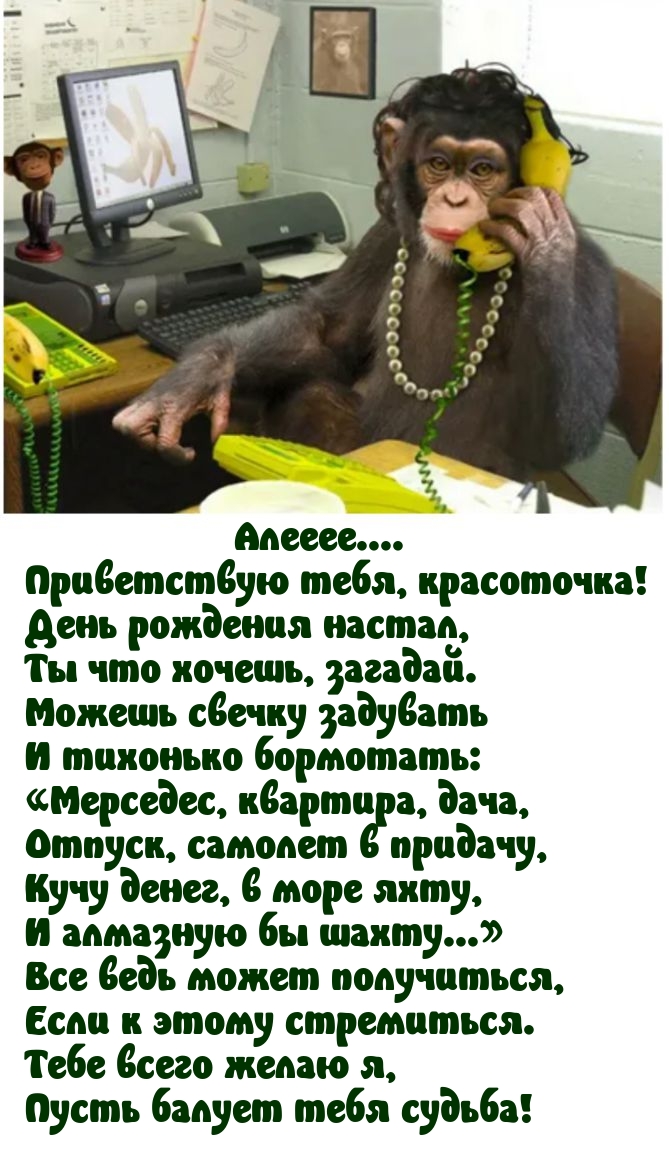 Приветствую тебя, красоточка! День рождения настал