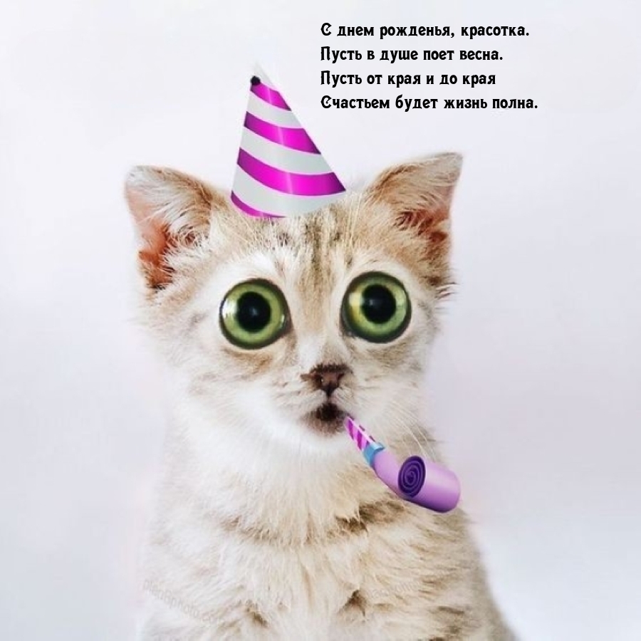 С днем рожденья, красотка. Пусть в душе поет весна.