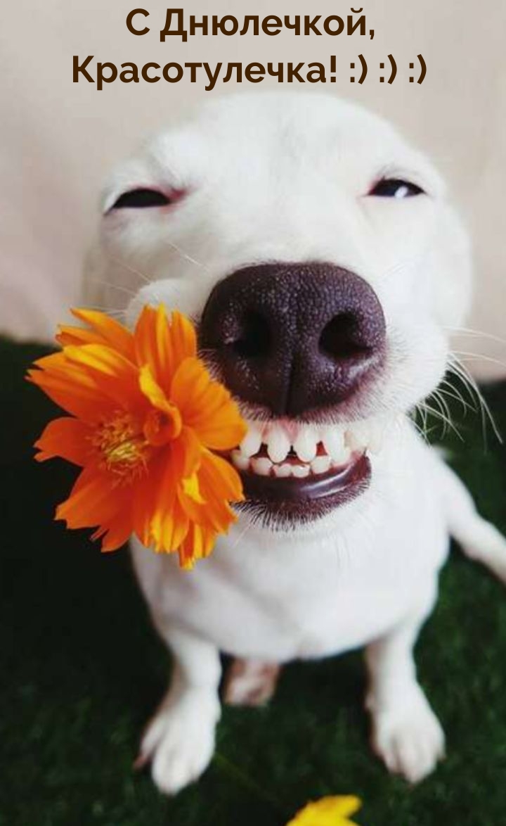 С Днюлечкой, Красотулечка! 
