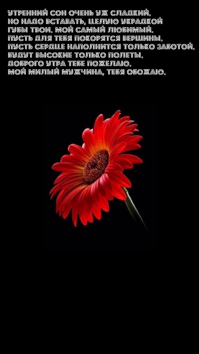 Утренний сон очень уж сладкий. Доброго утра тебе пожелаю.