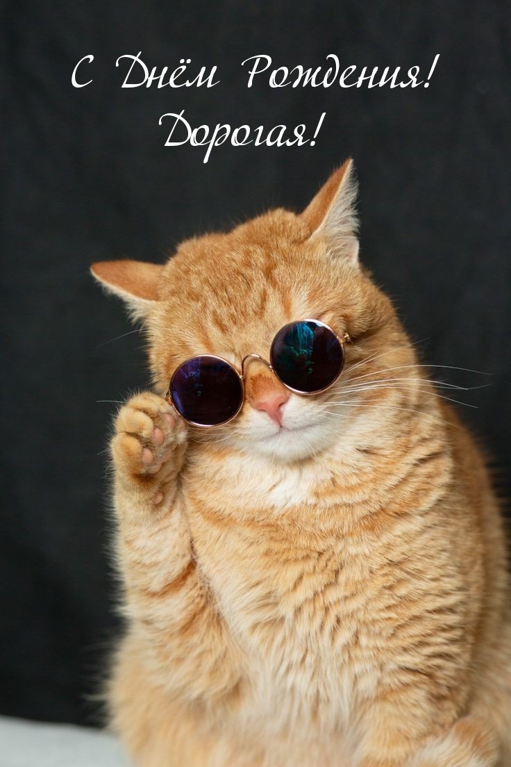С Днём Рождения! Дорогая!