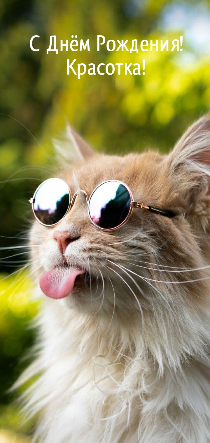 С Днём Рождения! Красотка!