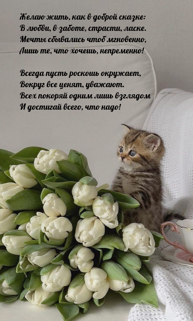 Мечты сбывались чтоб мгновенно, лишь те, что хочешь, непременно!