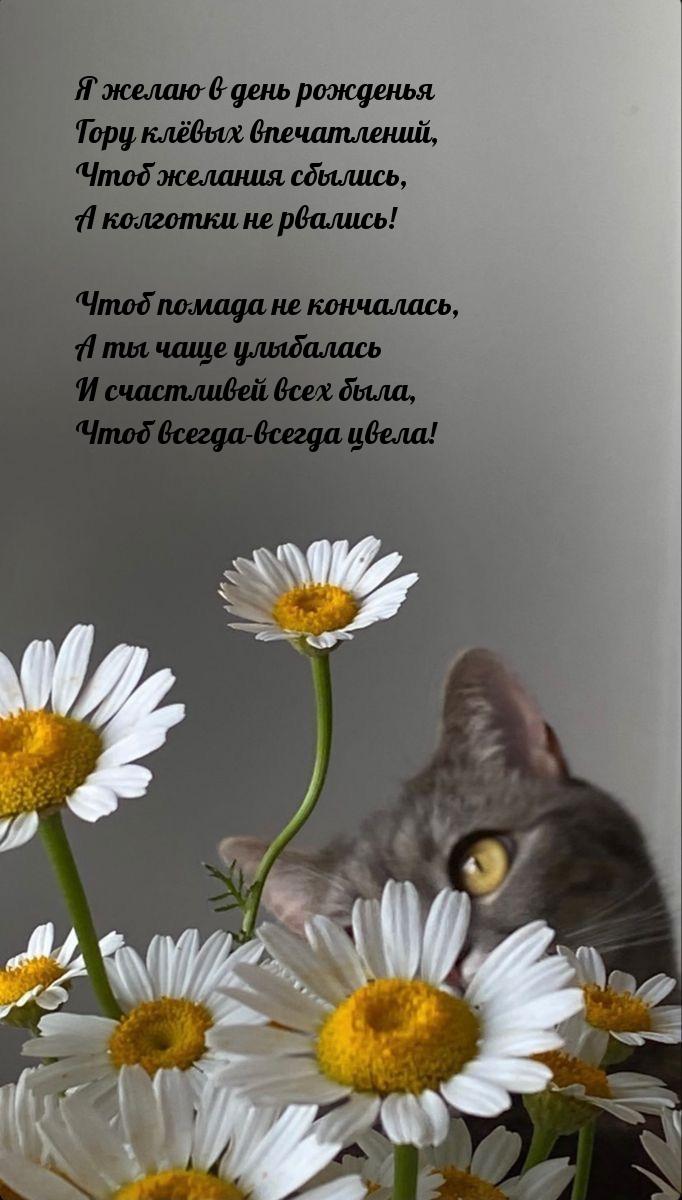 Я желаю в день рожденья гору клёвых впечатлений