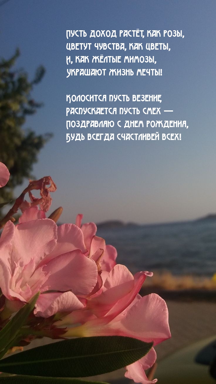 Пусть доход растёт, как розы, цветут чувства, как цветы