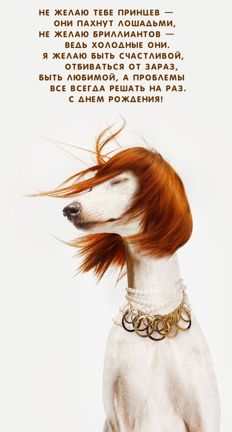 Не желаю тебе принцев — они пахнут лошадьми