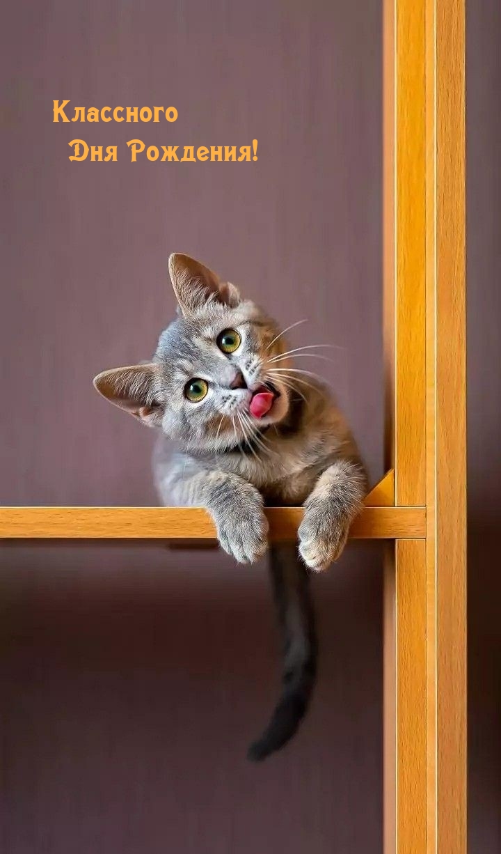 Классного Дня Рождения!