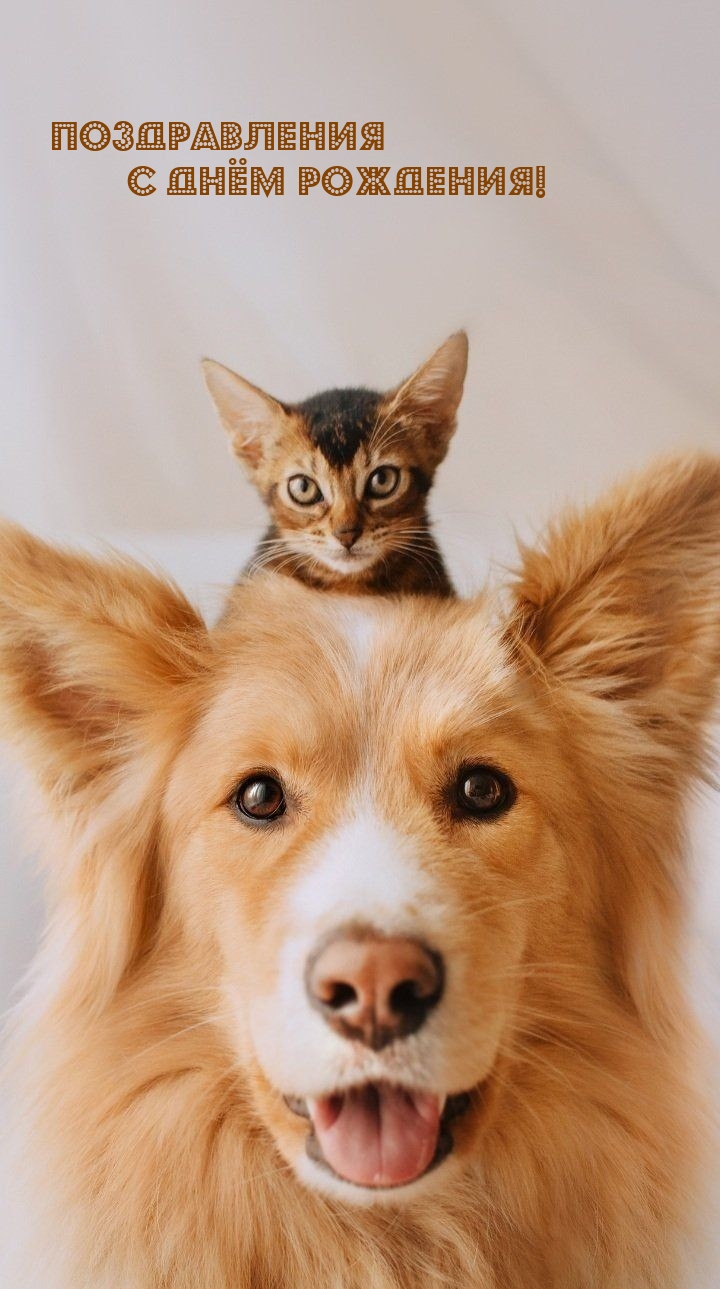 Поздравления с Днём Рождения!