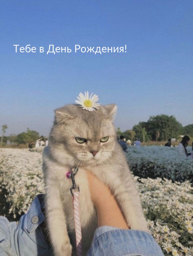 Тебе в День Рождения!