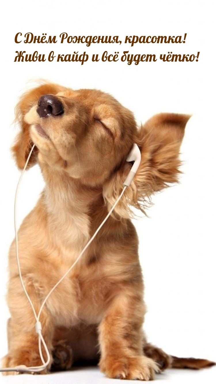 С Днём Рождения, красотка! Живи в кайф и всё будет чётко!