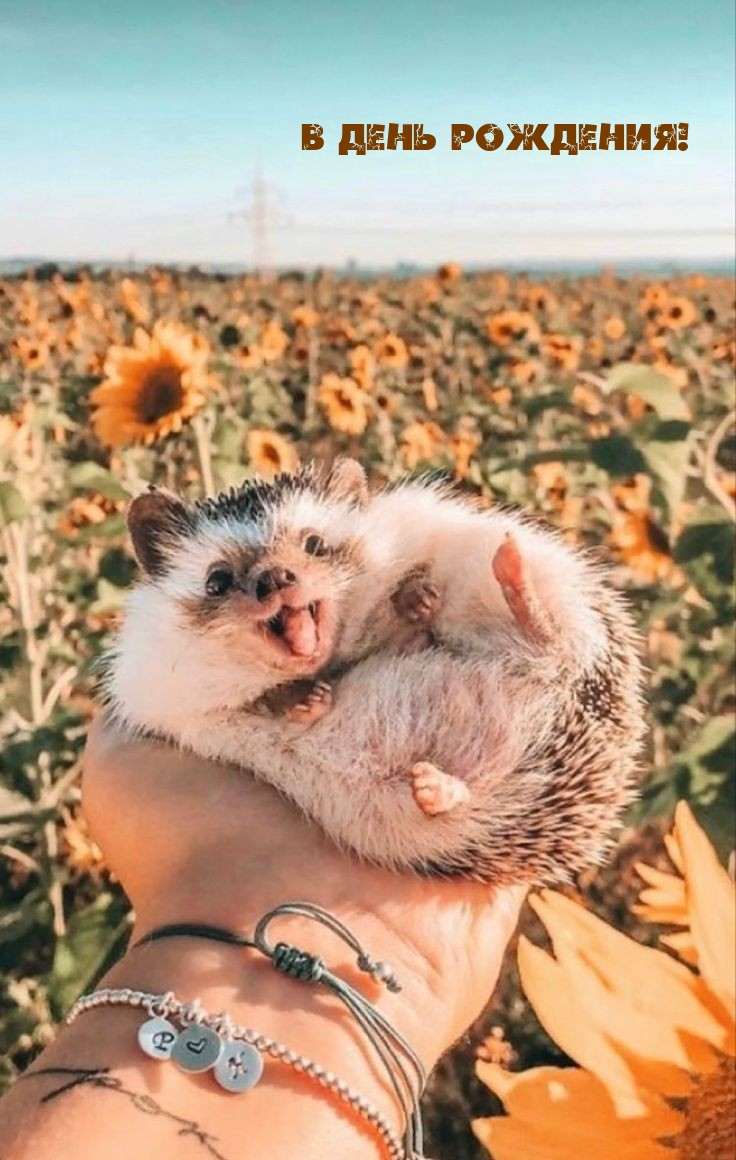 В День рождения!