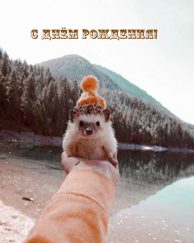 С Днём Рождения!