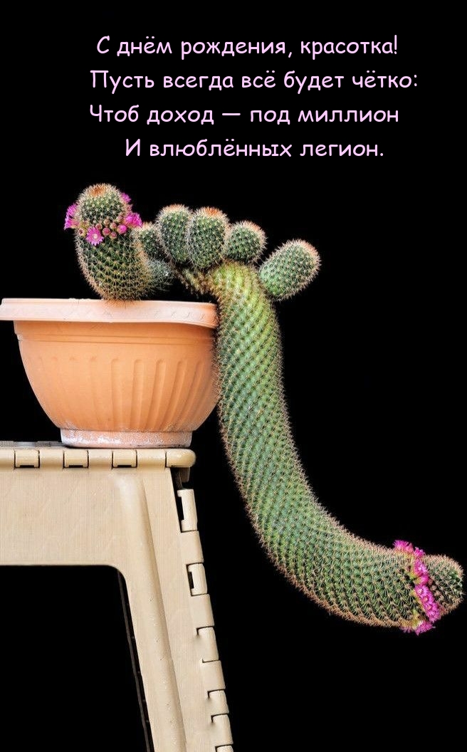 С днём рождения, красотка! Пусть всегда всё будет чётко