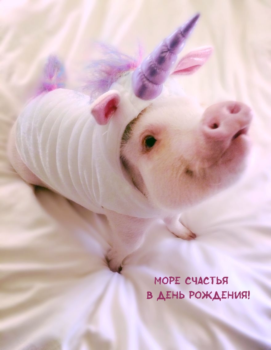 Море счастья в день рождения!