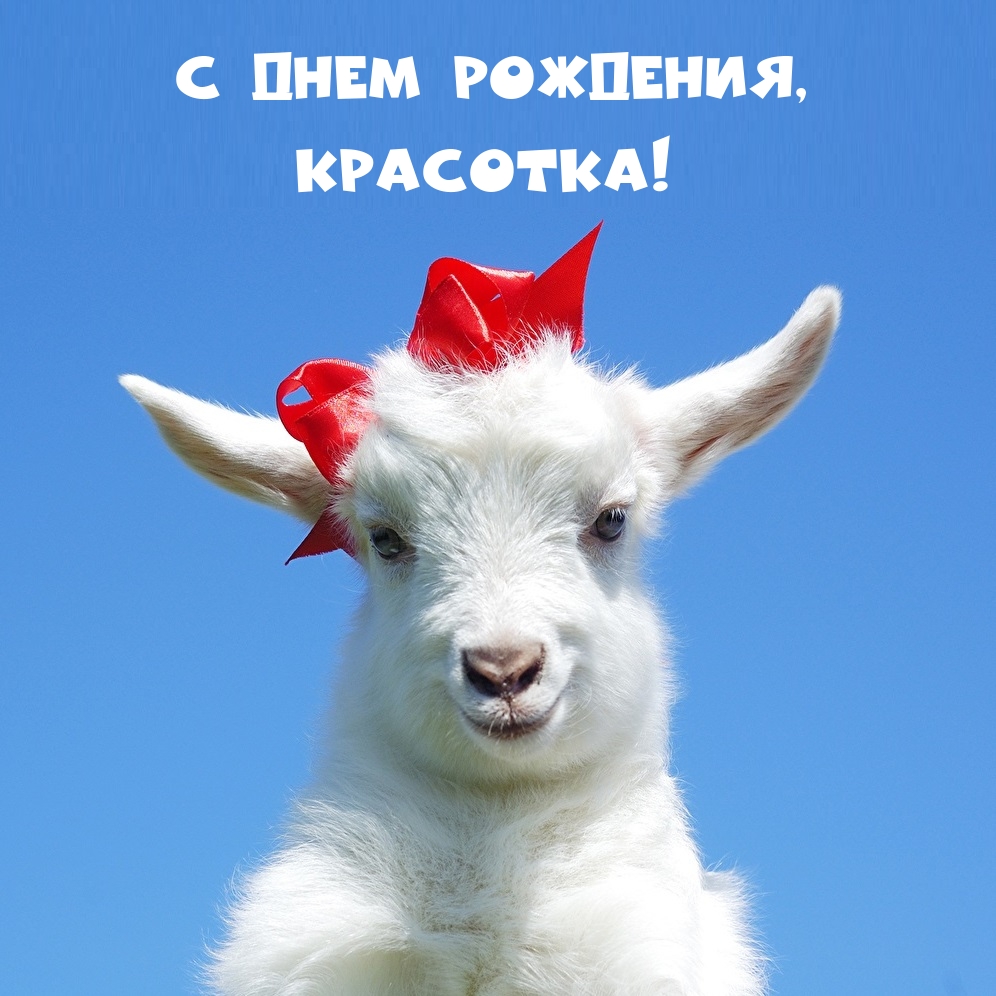 С днем рождения, красотка!