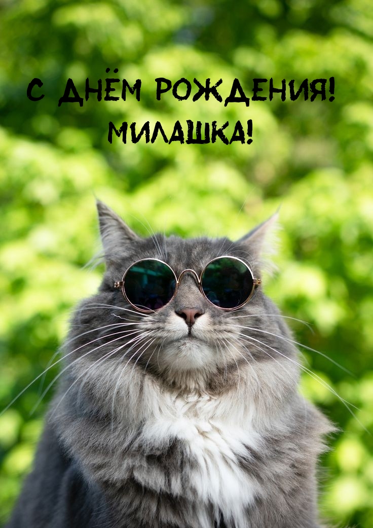 С Днём Рождения! Милашка!