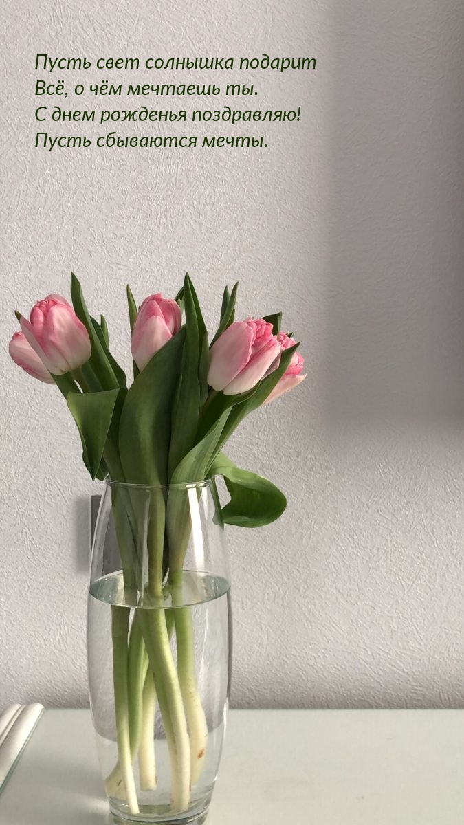 С днем рожденья поздравляю! Пусть сбываются мечты.