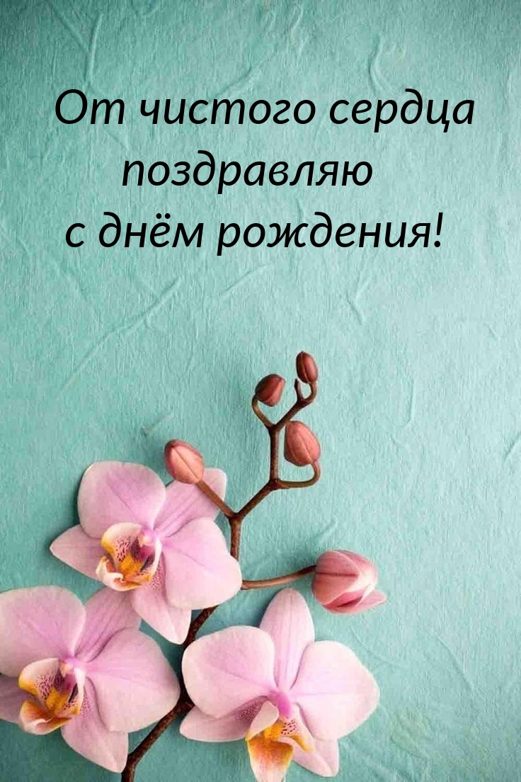 От чистого сердца поздравляю с днём рождения! 