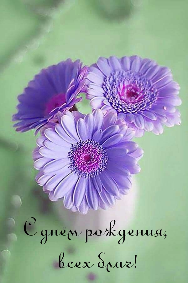 С днём рождения, всех благ!