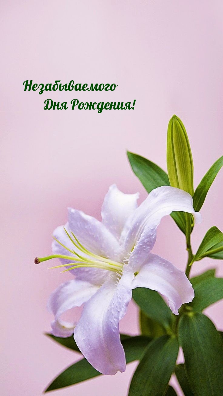 Незабываемого Дня Рождения!