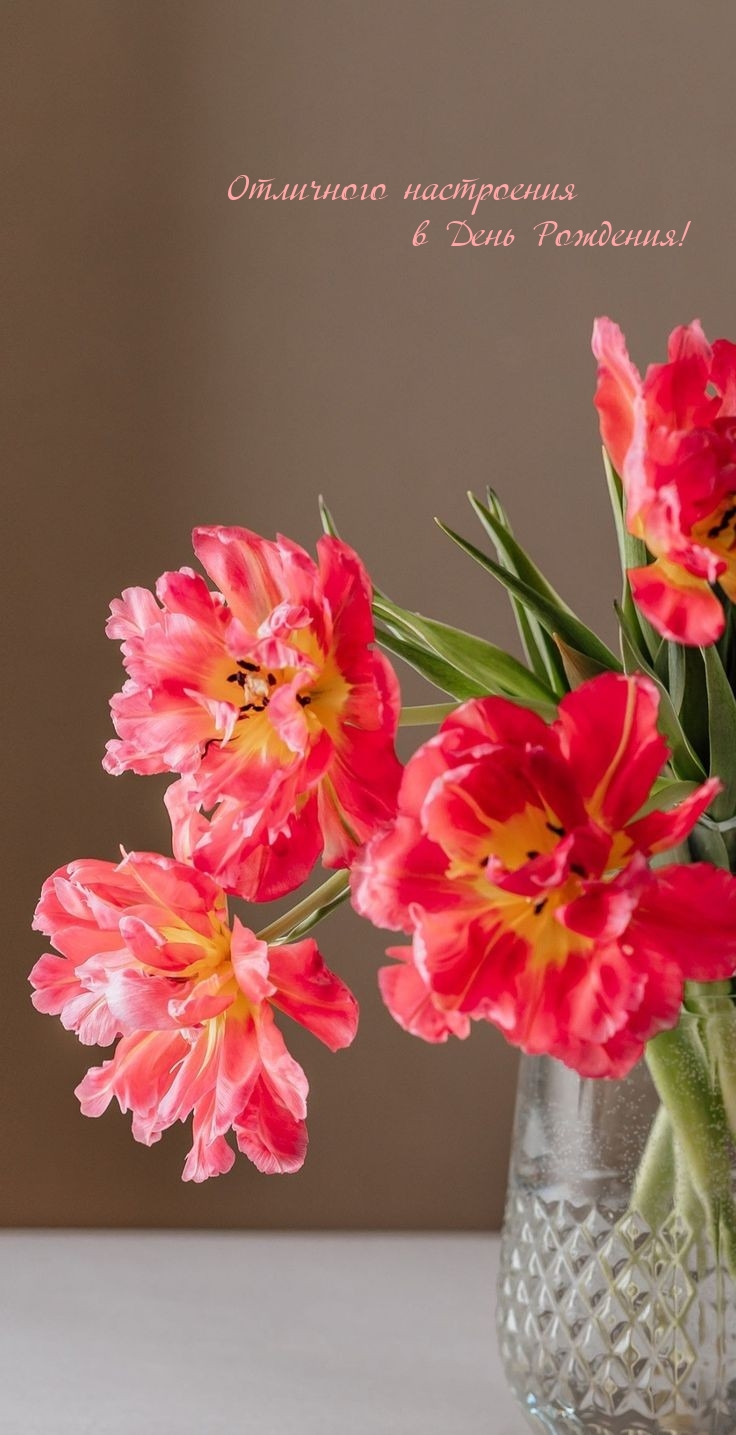 Отличного настроения в День Рождения! 