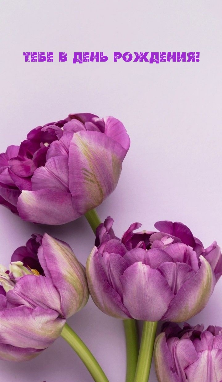 Тебе в День Рождения!