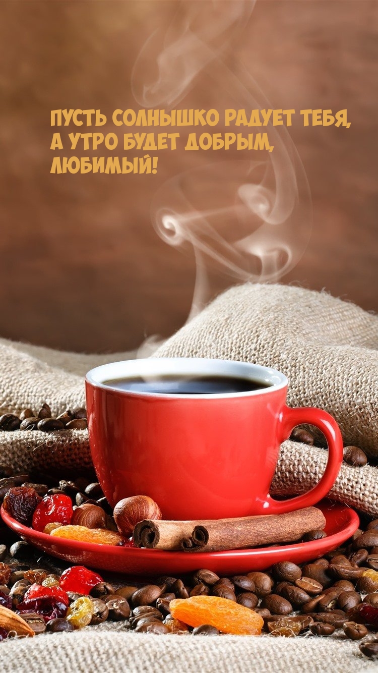 Пусть солнышко радует тебя, а утро будет добрым, любимый! 