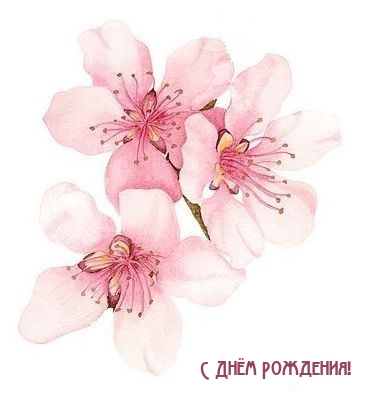 С Днём Рождения!