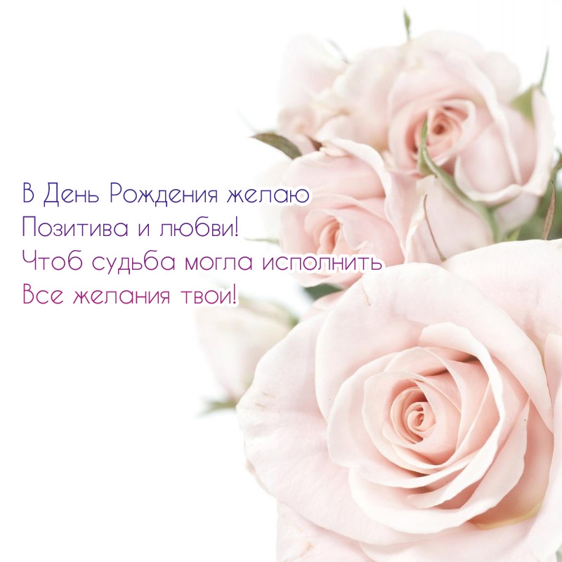 В День Рождения желаю позитива и любви!