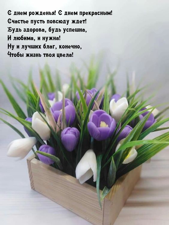 С днем рожденья! С днем прекрасным! Счастье пусть повсюду ждет!