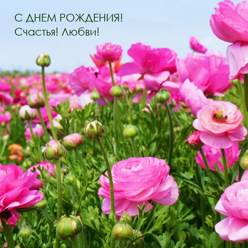 С днем рождения! Счастья! Любви!