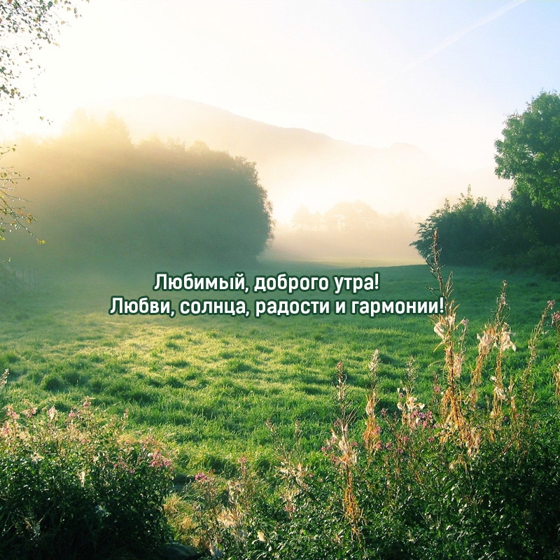 Любимый, доброго утра! Любви, солнца, радости и гармонии!