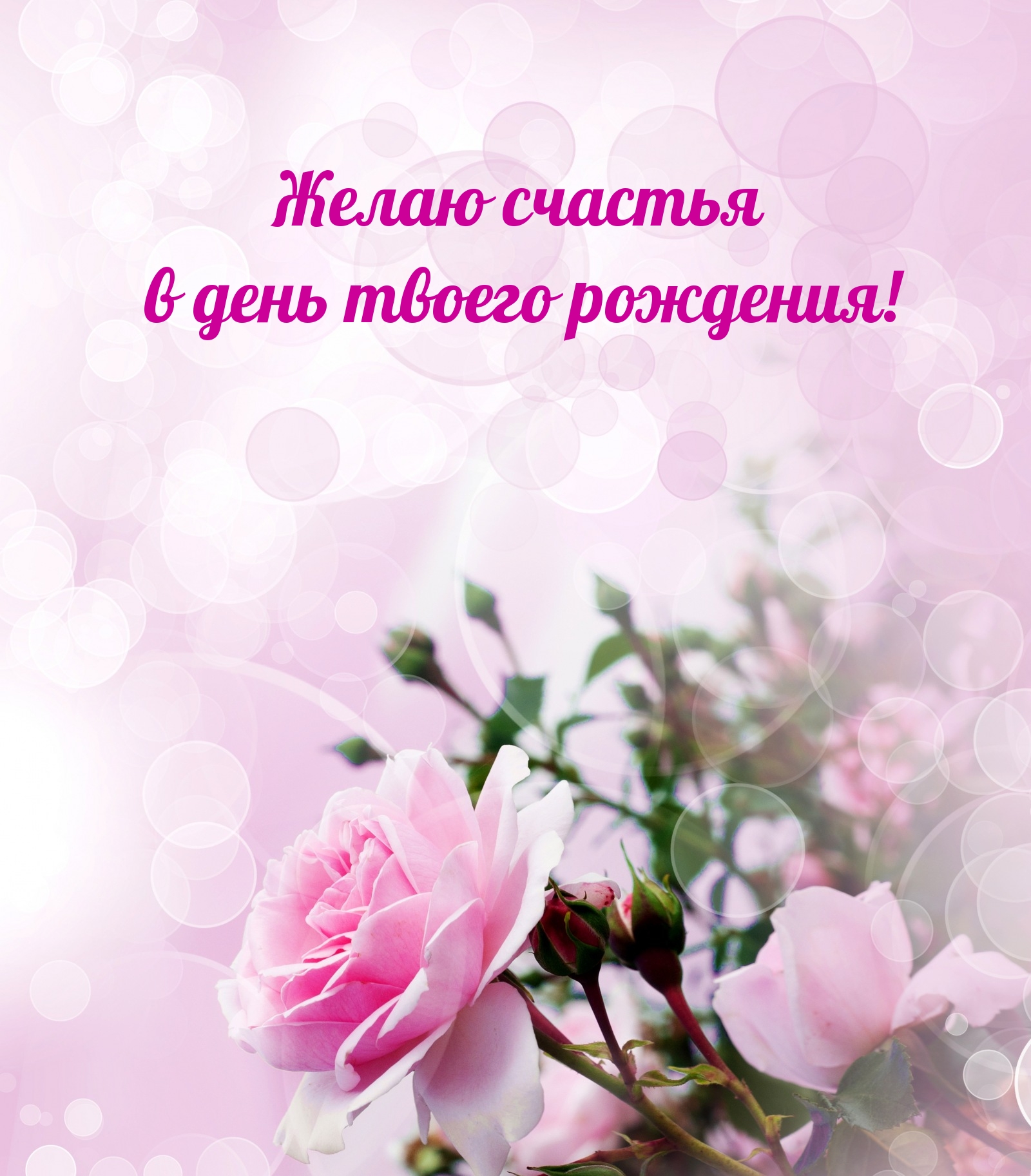 Желаю счастья в день твоего рождения!
