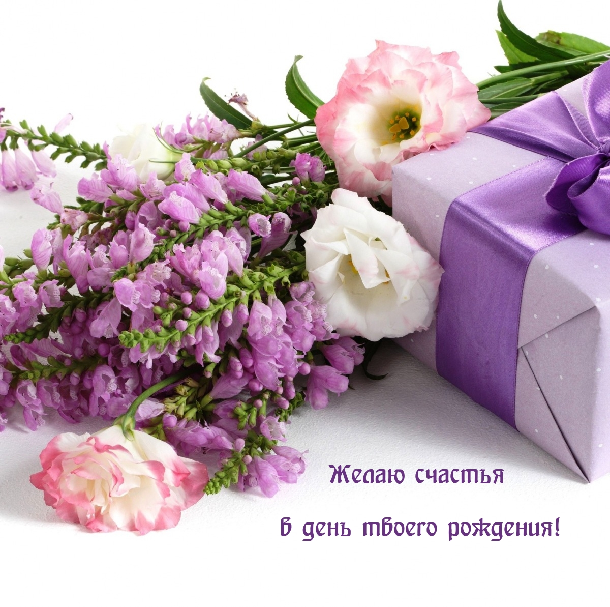 Желаю счастья в день твоего рождения!