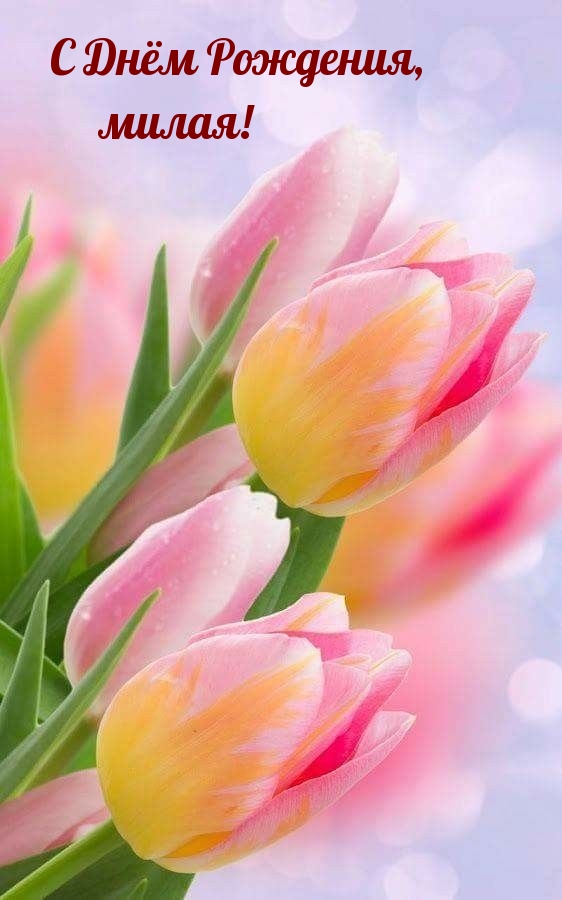 С Днём Рождения, милая!