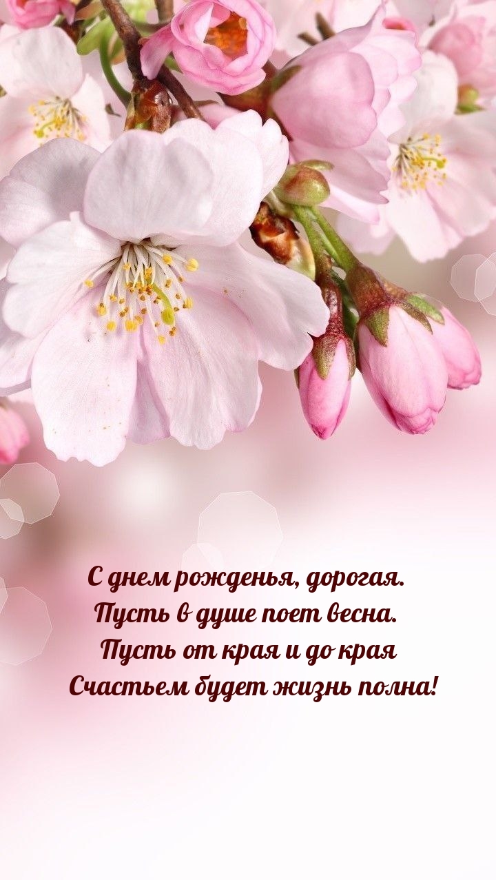 С днем рожденья, дорогая. Пусть в душе поет весна.