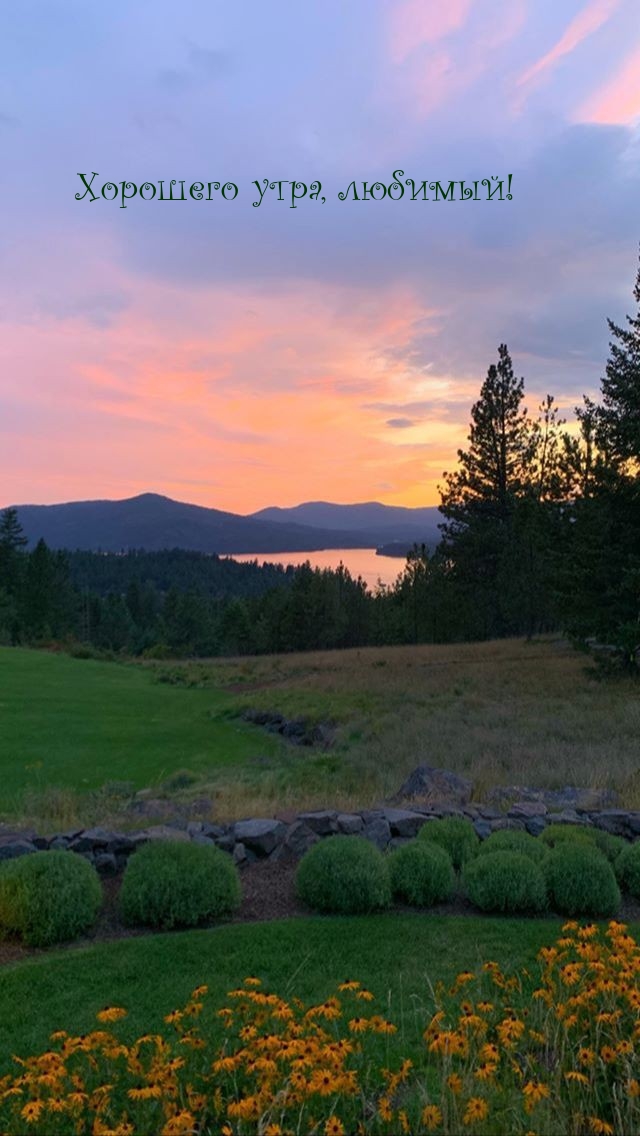 Хорошего утра, любимый!
