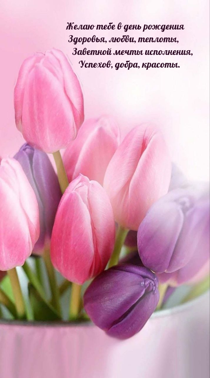 Желаю тебе в день рождения здоровья, любви, теплоты
