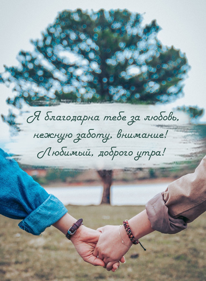 Я благодарна тебе за любовь, нежную заботу, внимание! Доброго утра!