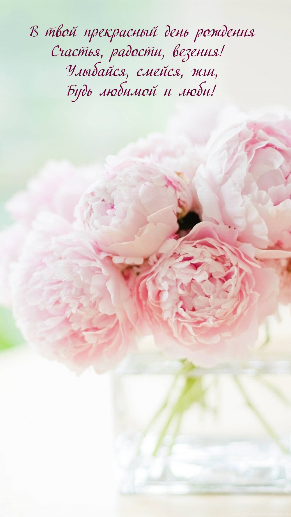 В твой прекрасный день рождения ― Счастья, радости, везения!