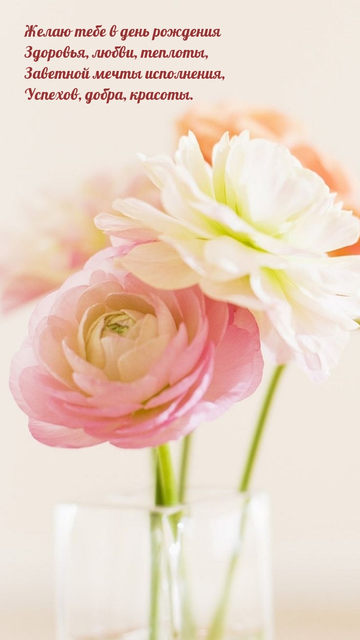 Желаю тебе в день рождения здоровья, любви, теплоты